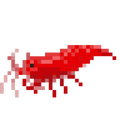system